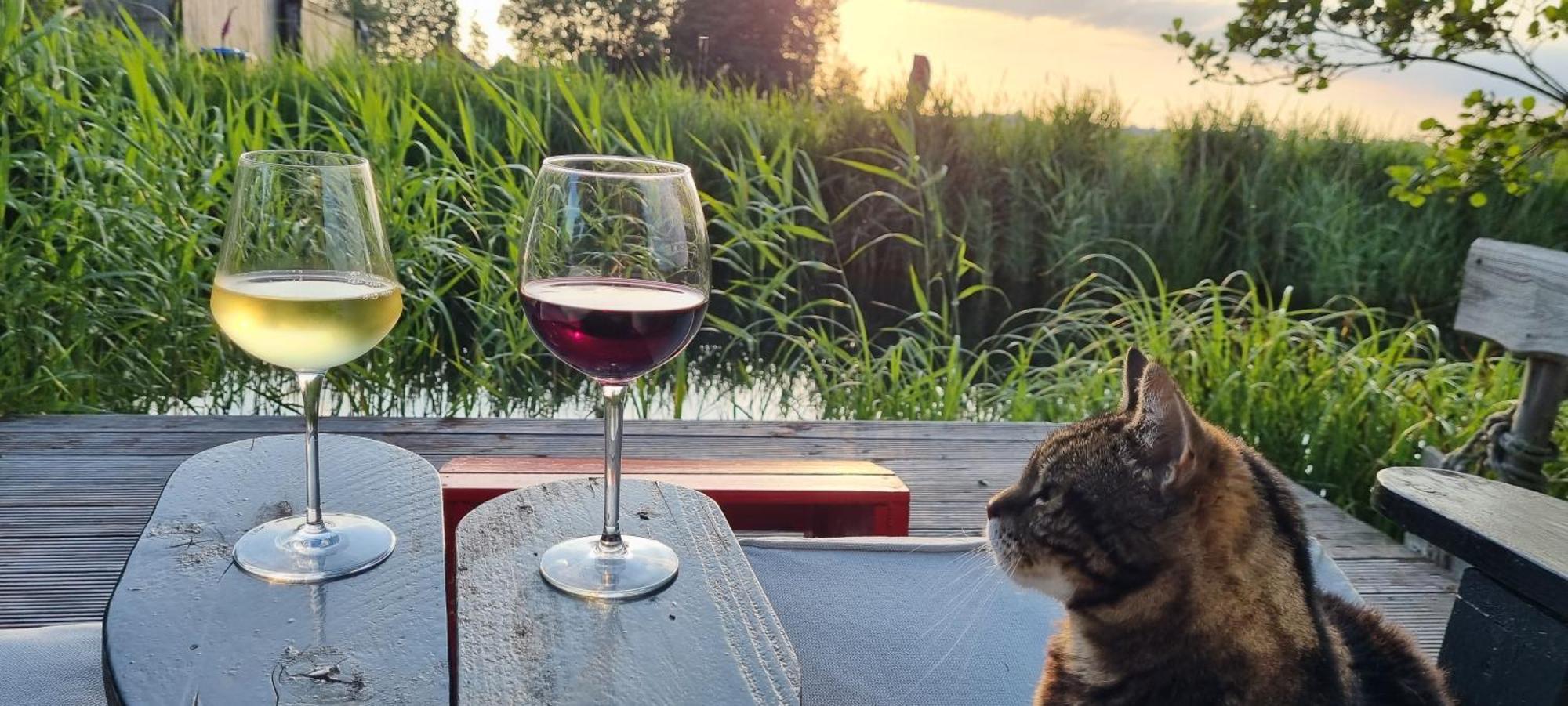 Slapen Bij Bonanza Villa Bantega Exterior foto